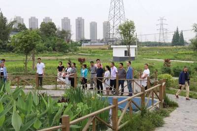 泰興鎮人大代表團開展《水污染防治法》專項視察，推進水污染治理工作